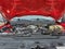 2020 Ford Super Duty F-350 SRW XL